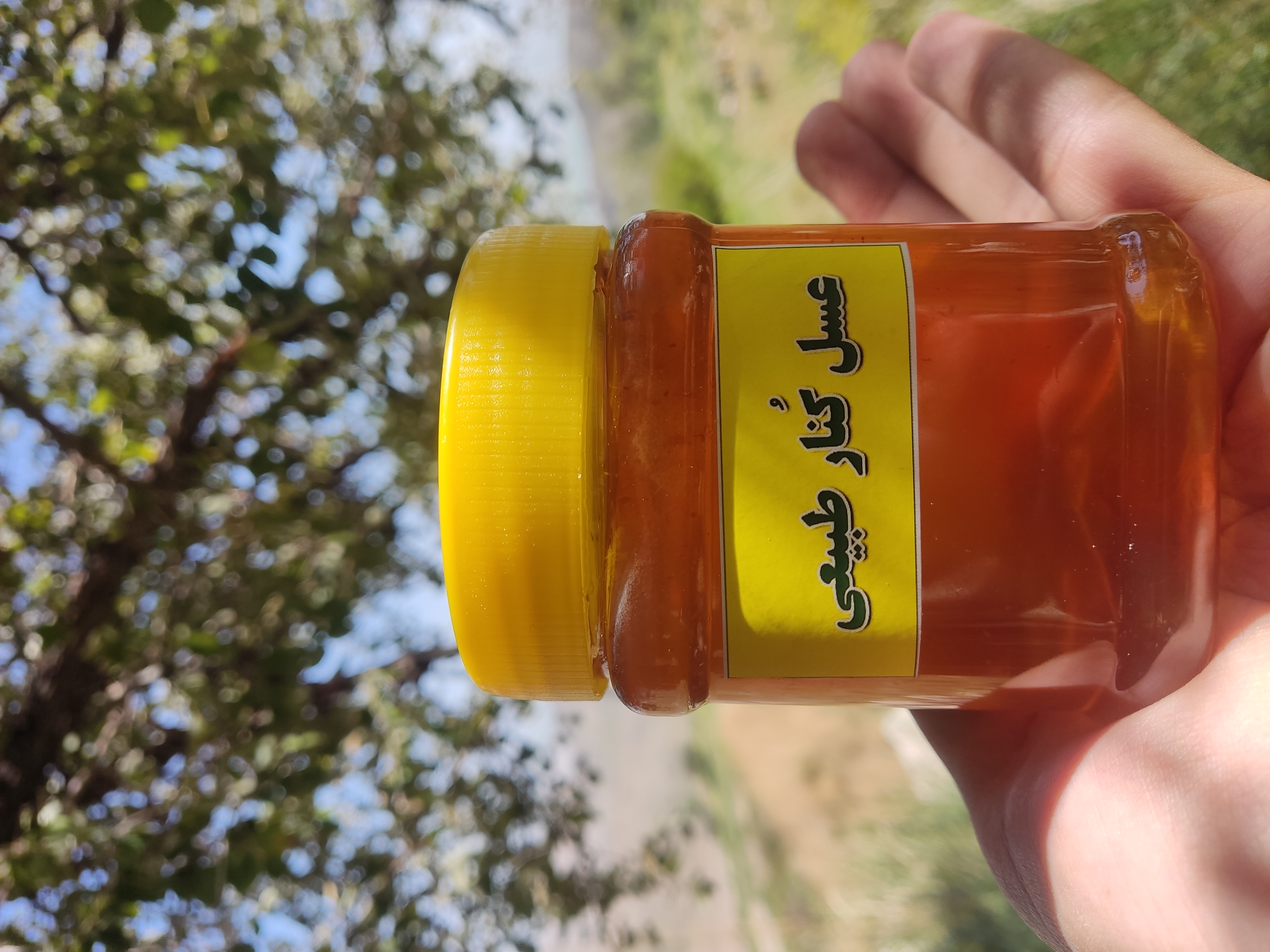 عسل کنار اصل (سدر)