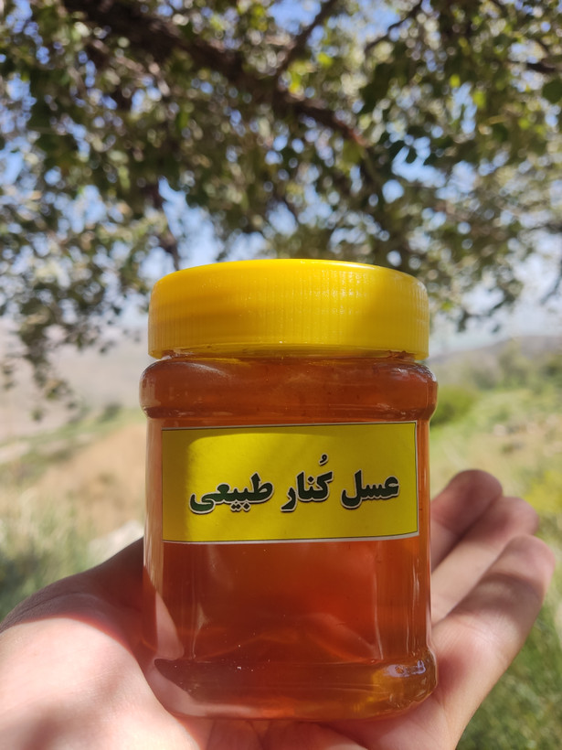 عسل کنار (سدر) نیم کیلویی