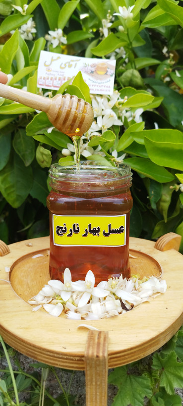عسل بهارنارنج نیم کیلویی
